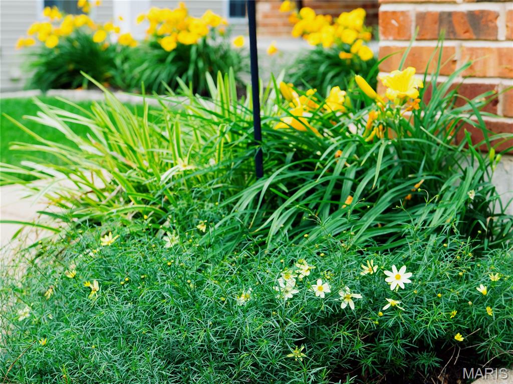 Geneseo Hills - Residential