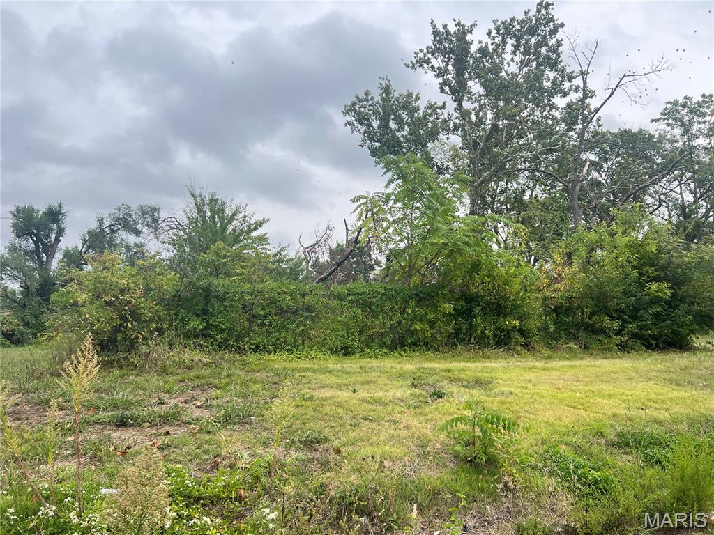 Two contiguous lots offered together at 5223–5225 Minerva Avenue in the Academy neighborhood. Combined (11,490 sf), the parcels provide 60 feet of frontage with depths of 191 and 192 feet. Both are zoned “B” Two-Family, allowing for flexible residential construction, with an excellent location and proximity to Forest Park and the Central West End, offering potential and versatility. Whether you're a builder, investor, or homeowner looking to create a custom residence or duplexes, these lots are ideal for such construction or as a long-term investment at an accessible price point. Note: this offering includes two parcels (5223 and 5225 Minerva). Listing can only reference one tax record; the second parcel can be verified through city records. Information shown in the listing (lot size, frontage, taxes, etc.) reflects the combined total of both parcels at 5223–5225 Minerva Avenue. Survey available!