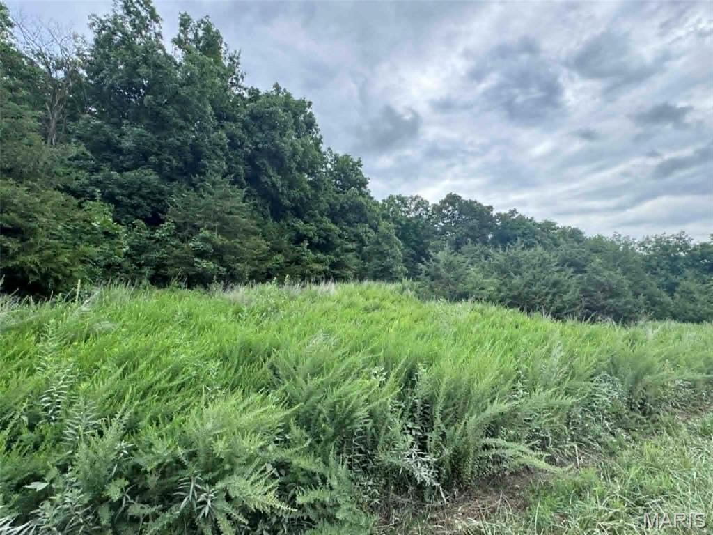 Discover the perfect blend of privacy, natural beauty, and convenience with this stunning 14-acre ridge-top property in Ralls County, Missouri. Offering breathtaking panoramic views of the surrounding countryside, this exceptional parcel is an ideal setting to build your dream home, create a weekend retreat, or enjoy outstanding recreational opportunities.

The property features multiple potential building sites, each offering incredible views that could be enhanced even further with selective tree clearing. Whether you're envisioning a custom home with spectacular sunsets or a peaceful getaway surrounded by nature, this property provides the perfect canvas.

Conveniently located just off State Highway O, the land offers two access options—via Walnut Ridge Place or through a recorded easement from Walnut Place. You'll enjoy the tranquility of country living while being only 6 miles from Hannibal and approximately 112 miles southeast of St. Louis.

Wildlife enthusiasts will appreciate the abundant deer and turkey that frequent the property, making it an excellent choice for hunting, hiking, or simply enjoying the outdoors. Water and electric utilities are available nearby, making future development even more convenient. Located within the Hannibal School District, this rare offering combines scenic beauty, accessibility, and endless potential.

If you've been searching for a scenic homesite or recreational escape with incredible views and a prime location, this remarkable Ralls County property is ready to make your vision a reality.