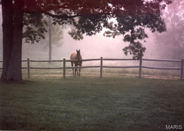 N/A - Farm