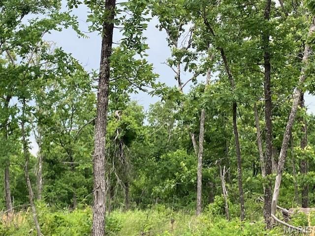 Wooded rural acreage with electricity nearby and gravel road access along the eastern corner .. it doesn't get much better. But what if it was close to Mark Twain National Forest and the spring-fed 12-Mile Creek ... a landowner's dream come true. 
This small affordable Ozark oasis comes with NO restrictions. 
Hunt, camp, build, ride ATVs, and if you buy a piece with creek you can fish or play in the water, too. The opportunities are endless.
This property is wooded and rolling. You are less than a mile from the 22,176-acre Mark Twain National Forest ... public ground where you can hunt, ride and explore. Yet you're only about 1.5 miles by road from U.S. 67 for quick and easy access.
Use this 18.801 acres as a base camp for adventure. This and surrounding acreage is teeming with deer, turkey and small game. This piece will sell fast, so call today and line up a time to take a look. Once you see, you'll likely want to own!