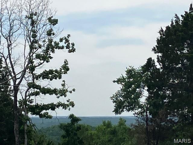 One of the best views in the Ozarks!! This 20 acres includes a deeded access road to the property and sits within about a mile of Mark Twain National Forest. 
This ridgetop oasis comes with NO restrictions, and can be had for less than the price of a new truck or SUV. 
Hunt, camp, build, ride ATVs on your own land, or fish or play in the shared creek section ... endless opportunities.
This property is wooded and rolling. You are within a mile of the 22,176-acre Mark Twain National Forest ... public ground where you can also hunt, ride and explore. All this, and only about 2 miles by road from U.S. 67.
Use this wooded, secluded property as a base camp for adventure or build your forever home and live out your days in secluded bliss. This and surrounding land is teeming with deer, turkey and small game, and the occasional feral hog or maybe a black bear.
There is additional acres available which adjoin this piece if interested.