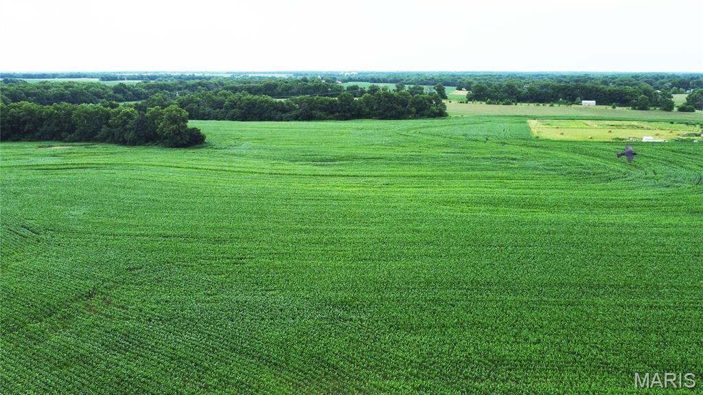 None - Farm