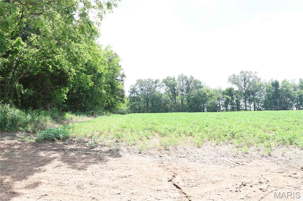 Deer Ridge Estates - Land