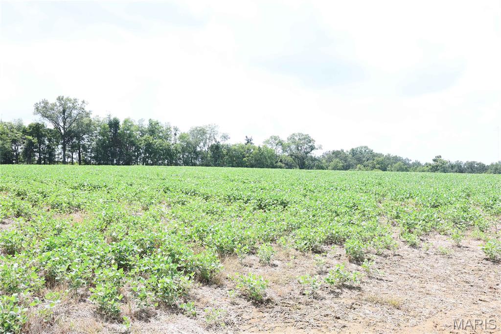 Deer Ridge Estates - Land