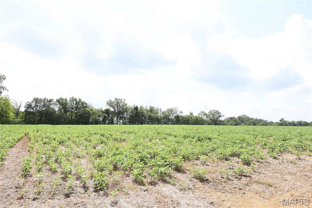 Deer Ridge Estates - Land