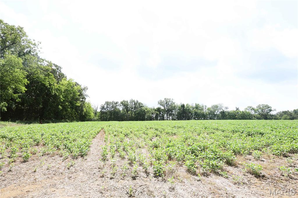 Deer Ridge Estates - Land
