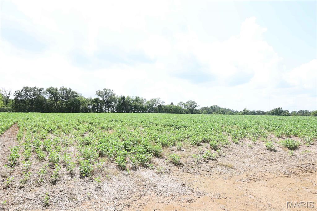 Deer Ridge Estates - Land