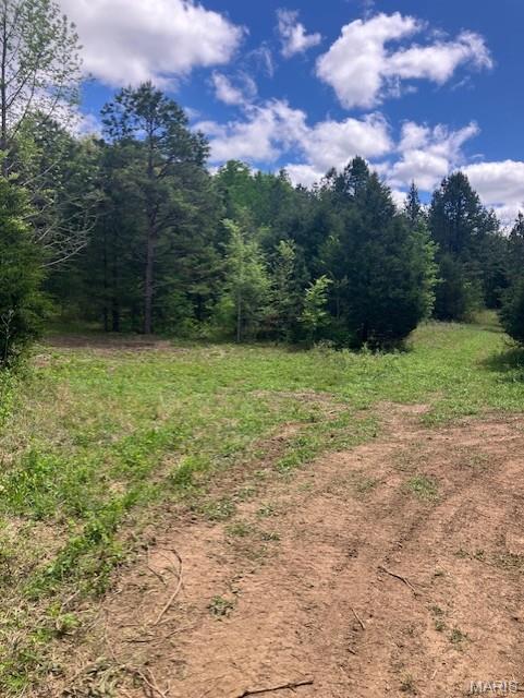 This 16.25 acres includes a great small field adjacent to a spring-fed stream. It also has deeded gravel road access an sits only about 1.5 miles from Mark Twain National Forest.
It's a hunting or homesteading paradise. Or use is simply as a great home or cabin or camping site.
You'll have a deeded access road to the property. This secluded valley oasis comes with NO restrictions.
Hunt, camp, build, ride ATVs on your own land, or just a short hike or drive and you'll be in the picturesque and pristine 22,176-acre section of Mark Twain National Forest ... public ground where you can also hunt, ride and explore. All this, and only about a mile from a paved state road. 
Use this wooded, secluded property as a base camp for adventure or build your forever home and live out your days in secluded bliss. This and surrounding land is teeming with deer, turkey and small game, and the occasional feral hog or maybe a black bear. There is additional acres available which adjoin this piece if interested.