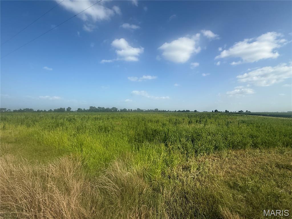 38.5 Deeded Tillable Acres Farmland. Purchase this land now in order to plant a 2026 Fall crop. Dry land not farmed during the Spring/Summer Season of 2026. Section 16 Township 18 Range 12 East in Pemiscot County. Turn going South from State Highway 412 onto County Road 405. Turn East onto County Road 406.