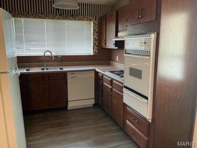 Paddock Hills 7 - Residential