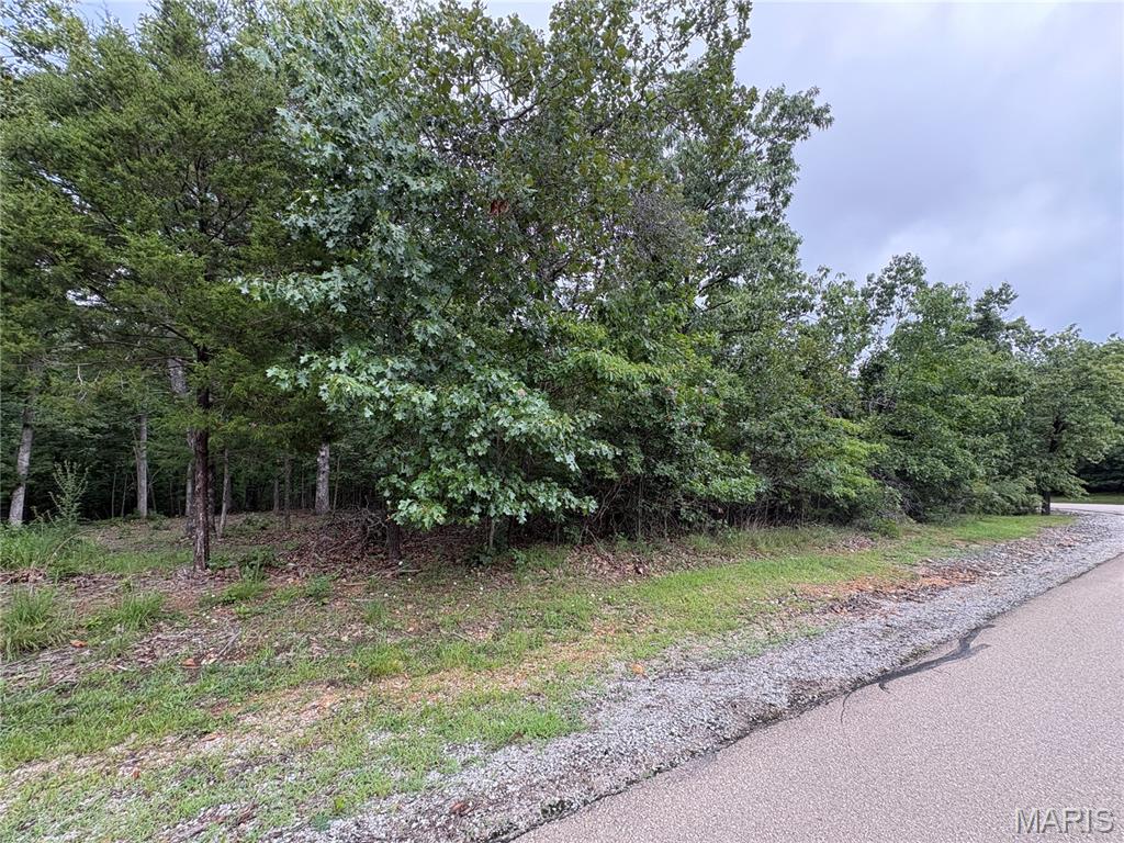 Escape to your own slice of nature with this mostly wooded, unimproved lot nestled
within the private, gated community of Lake Perry. Whether you're dreaming of building
a weekend retreat, creating a future homesite, or simply investing in lake life, this
property offers endless possibilities. Enjoy exclusive access to the 200+ acre lake for
boating, swimming, and fishing, along with outstanding community amenities including a
pool, clubhouse, sandy beach areas, picnic pavilions, playgrounds, volleyball,
basketball, bath houses, laundry facilities, and more. Your lake getaway starts here!
