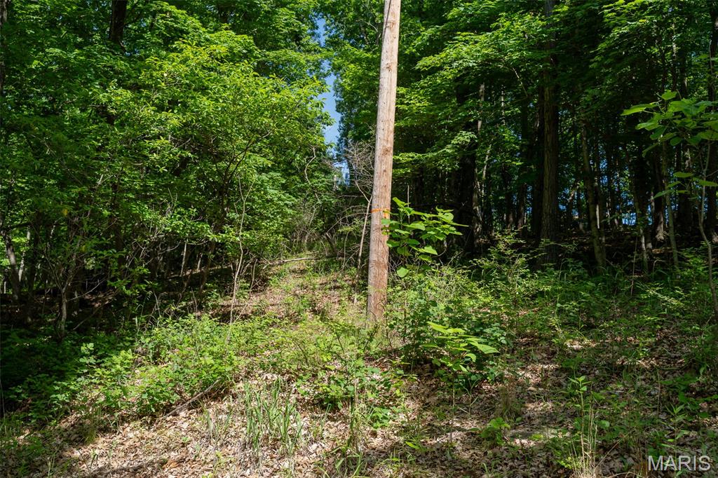 Tracts - Land