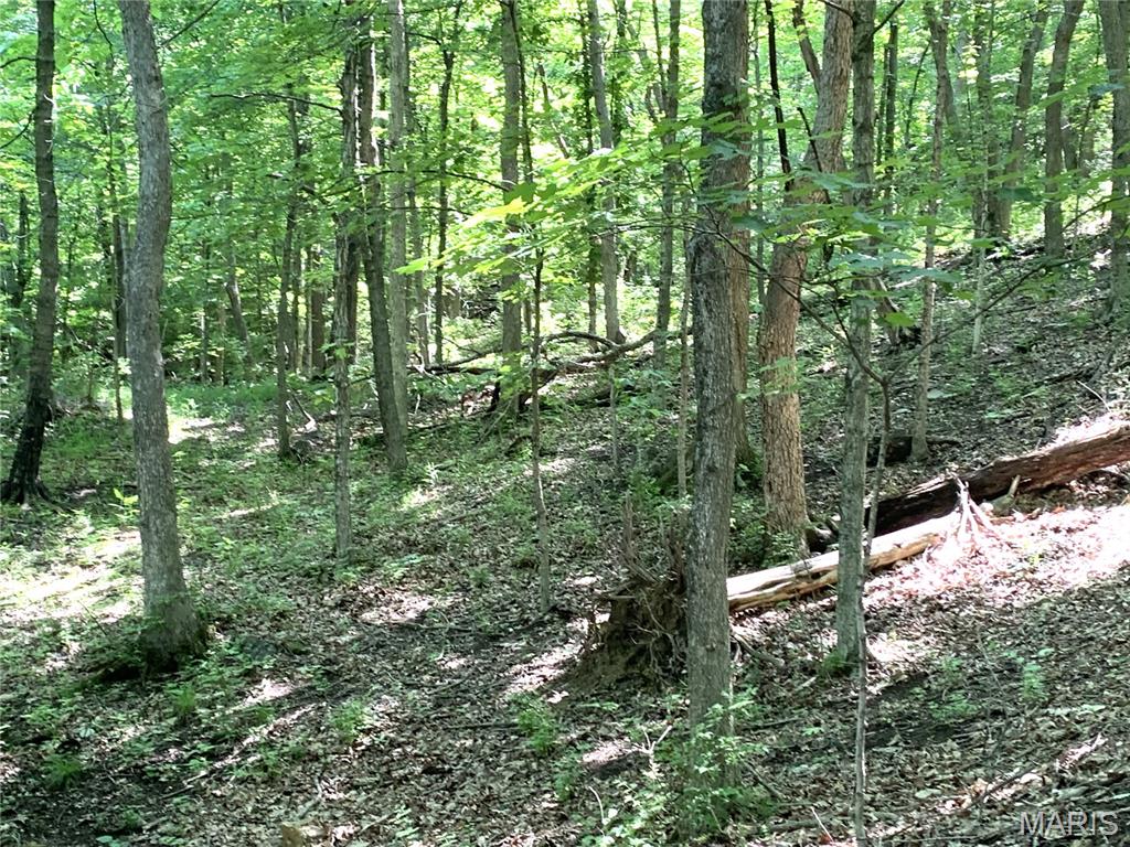 Tracts - Land