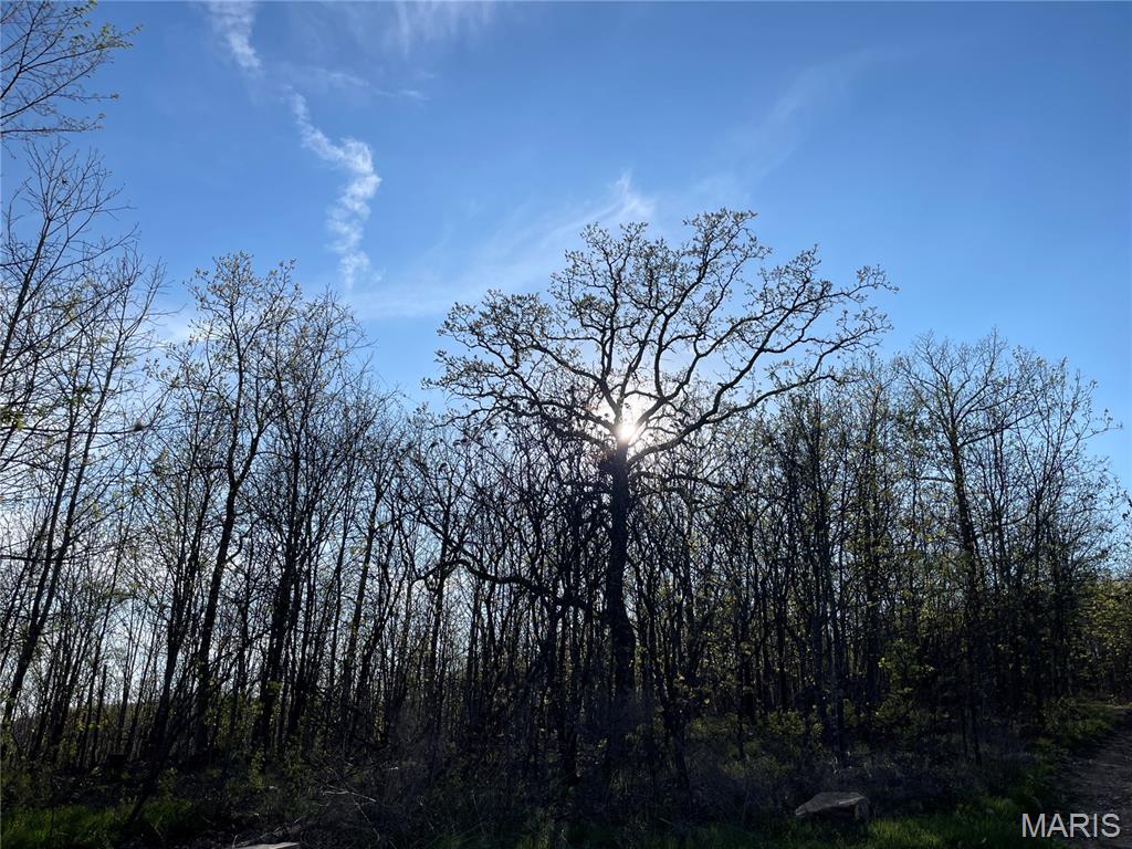 Beautiful views with off grid living on this 72.89 +/- acres. Views from this cabin are stunning! Acreage is all wooded with some cleared trails and a garden spot. Cabin is rustic with open floor plan, electric from a generator, which is staying, water is supplied via a rainwater collective system, wood stove for chilly mornings, 3/4 bath and large addition for enjoying early morning coffee, listening to the birds and watching wildlife.