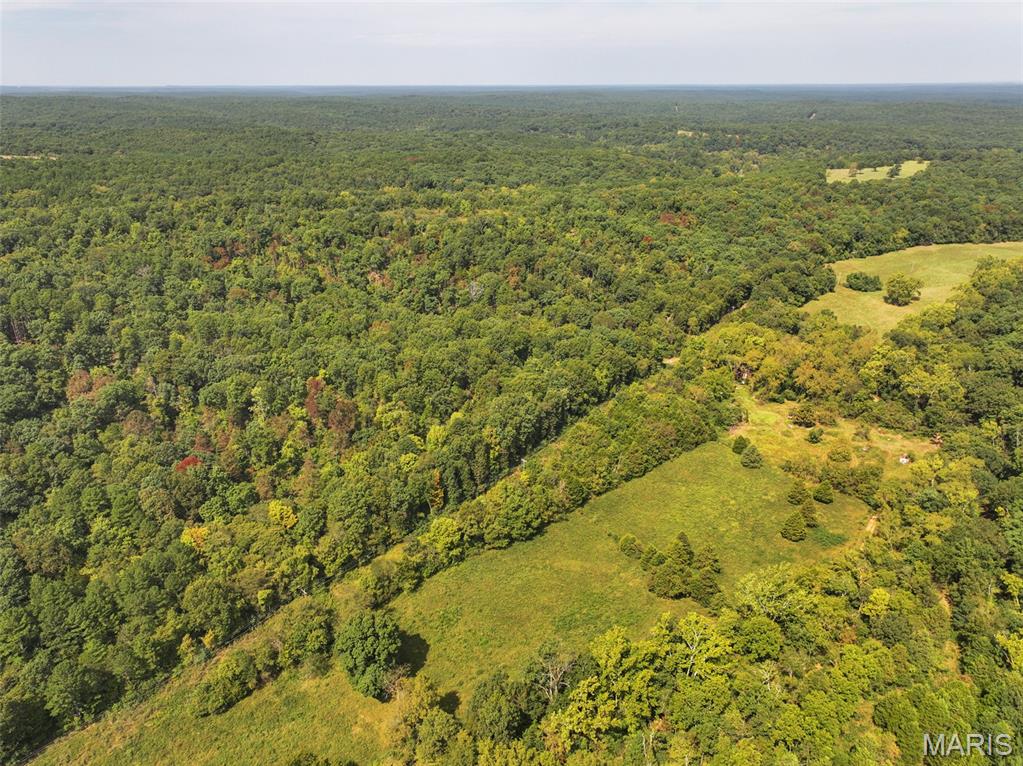 Located near Richwoods in Washington County, Missouri, this recreational property offers a combination of timber, open ground, wildlife habitat, and existing improvements. With gravel road frontage, electric already on the property, a small pond, and potential locations for a future home or cabin, this tract provides opportunities for hunting, recreation, and future use. The majority of the property consists of timber, creating a wooded setting with plenty of cover for wildlife. Timber has previously been harvested in certain areas, and those portions of the property have grown back with thick vegetation and young timber. This regrowth provides dense bedding and security cover for whitetail deer while creating transitions between different stages of timber throughout the property. Scattered areas of open ground add another important element to the habitat. Several locations could be utilized as food plots, allowing a future owner to establish additional forage for deer and other wildlife. The combination of potential food plot locations, thick bedding cover, timber, and natural travel corridors provides multiple options when considering hunting setups and future wildlife management. A small pond is located on the property, adding a water feature to the landscape and providing another resource for wildlife. The pond, open areas, and surrounding timber combine to create habitat diversity within the tract. These different features can help concentrate wildlife movement and provide additional options when planning stand locations and access routes. For hunters, the property's layout offers several features to work with. Thick regrowth provides areas where deer can bed and find security cover, while the more open portions of the property provide opportunities for establishing food sources. The transitions between thick cover, established timber, open ground, and the pond create natural edges and travel areas that can be evaluated when determining hunting locations. An older home is also located on the property and is being sold as-is. In addition, there are potential locations for a future home or cabin, subject to applicable county requirements, permits, and other necessary approvals. Gravel road frontage provides convenient access to the property, and electric is already available on the tract. These existing features add flexibility for a future owner considering improvements or establishing a recreational base on the property. Beyond hunting, the wooded acreage provides opportunities for hiking, ATV riding, camping, wildlife observation, and other outdoor recreation. The existing open areas provide additional flexibility for recreational use and future land management. Its location near Richwoods provides a rural Washington County setting while keeping the property within driving distance of surrounding communities for supplies and services. For someone looking for a hunting property or recreational getaway, the combination of road access, electric, water, timber, and open ground provides a useful foundation for future plans. The mix of timber, thick regrowth, open ground, potential food plot locations, a pond, gravel road frontage, electric service, and existing improvements gives this property a variety of possible uses. A future owner can continue managing the acreage primarily for hunting and recreation or explore additional improvements while maintaining the recreational character of the property. Whether your interests include whitetail deer hunting, turkey hunting, wildlife management, hiking, camping, or establishing a future home or cabin site, this Washington County property offers a versatile mix of features near Richwoods.