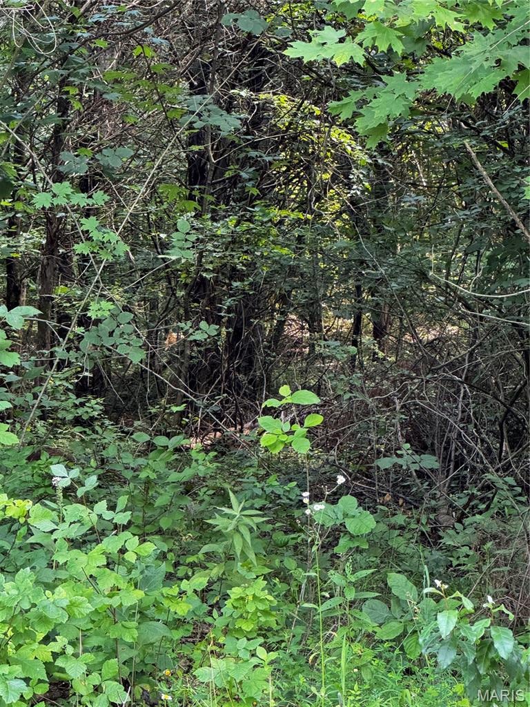 Eagles View Estates Four - Land