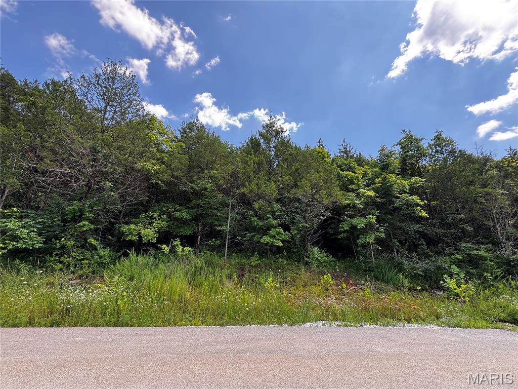 Welcome to Eagles Valley, where privacy, beauty, and convenience come together in the heart of House Springs! This spacious 2.19 acre lot is perfectly positioned at the end of a brand-new street, offering peace, seclusion, and incredible potential for your dream home and located in a platted subdivision with public water and sewer already in place, offering generous space and scenic surroundings. The land lays beautifully, making it easy to envision your ideal home nestled in nature and privacy. Whether you're planning to build now or secure land for the future, NOW is the perfect time to explore Eagles Valley as one of the last available lots. Walk the property, take in the views, and experience firsthand building your dream home! Don’t miss your opportunity—this lot won’t last long!