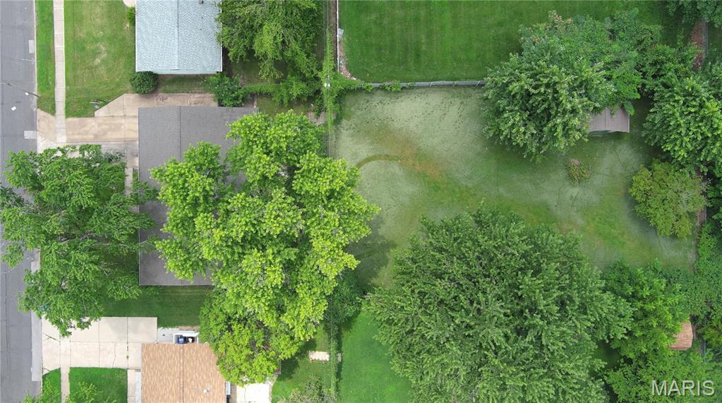 Flamingo Park 7 - Residential