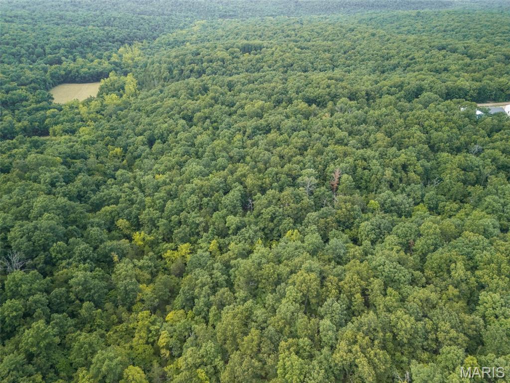 Oak Ridge Farms - Land