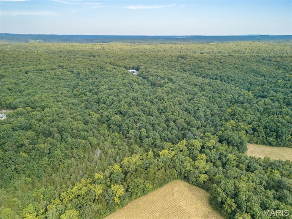 Oak Ridge Farms - Land