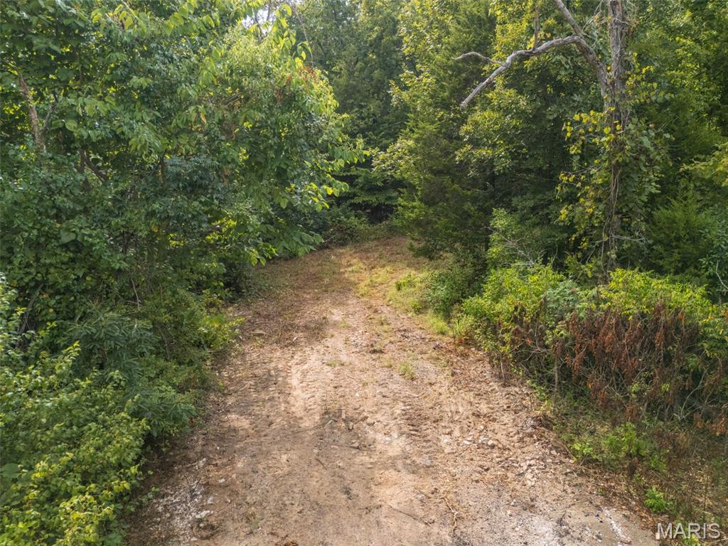 Oak Ridge Farms - Land