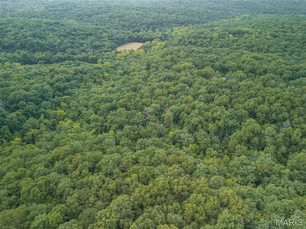 Oak Ridge Farms - Land