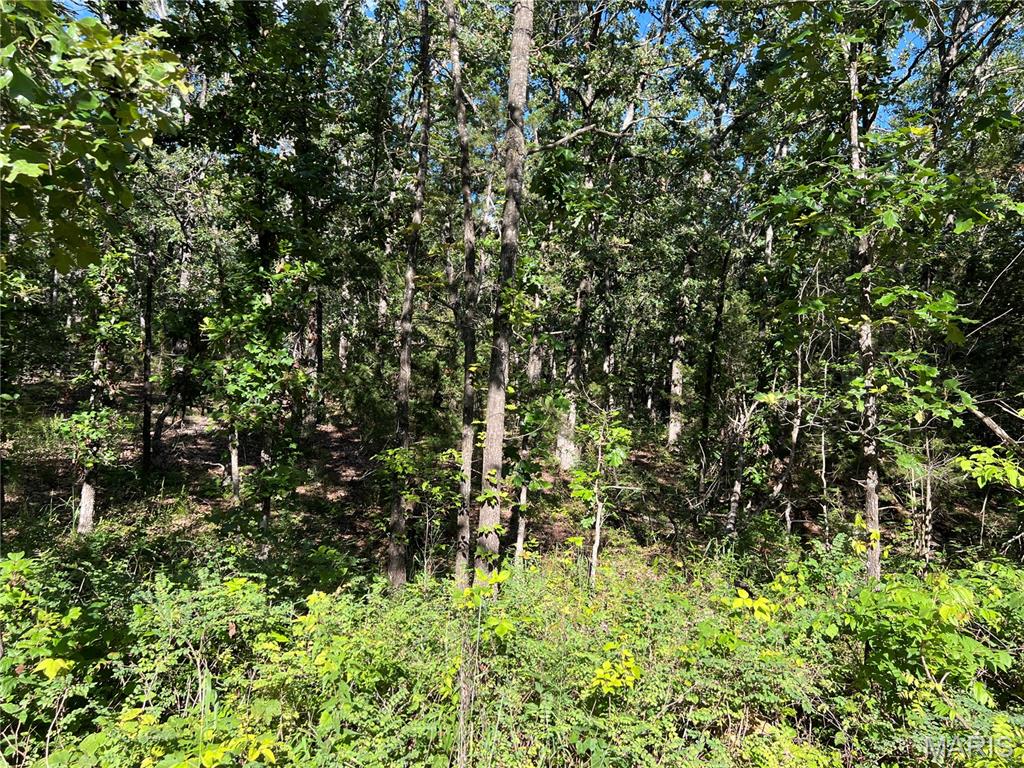 RURAL - Land