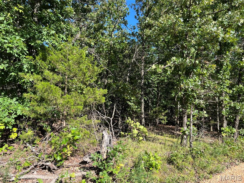 RURAL - Land