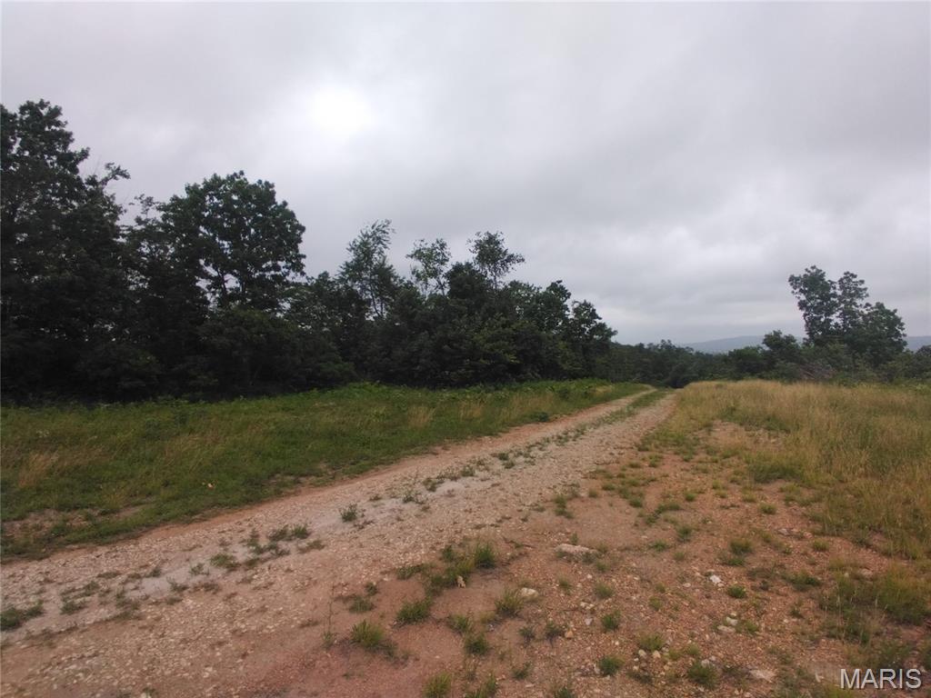 17.12 +/- surveyed acres located in Belleview, Missouri. This property offers a peaceful rural setting with plenty of room to build, hunt, camp, or simply enjoy nature. Conveniently located near Elephant Rocks, Johnson's Shut-Ins, Shepherd Mountain Bike Park, and the Black River. A great opportunity to own your own slice of the Ozarks!