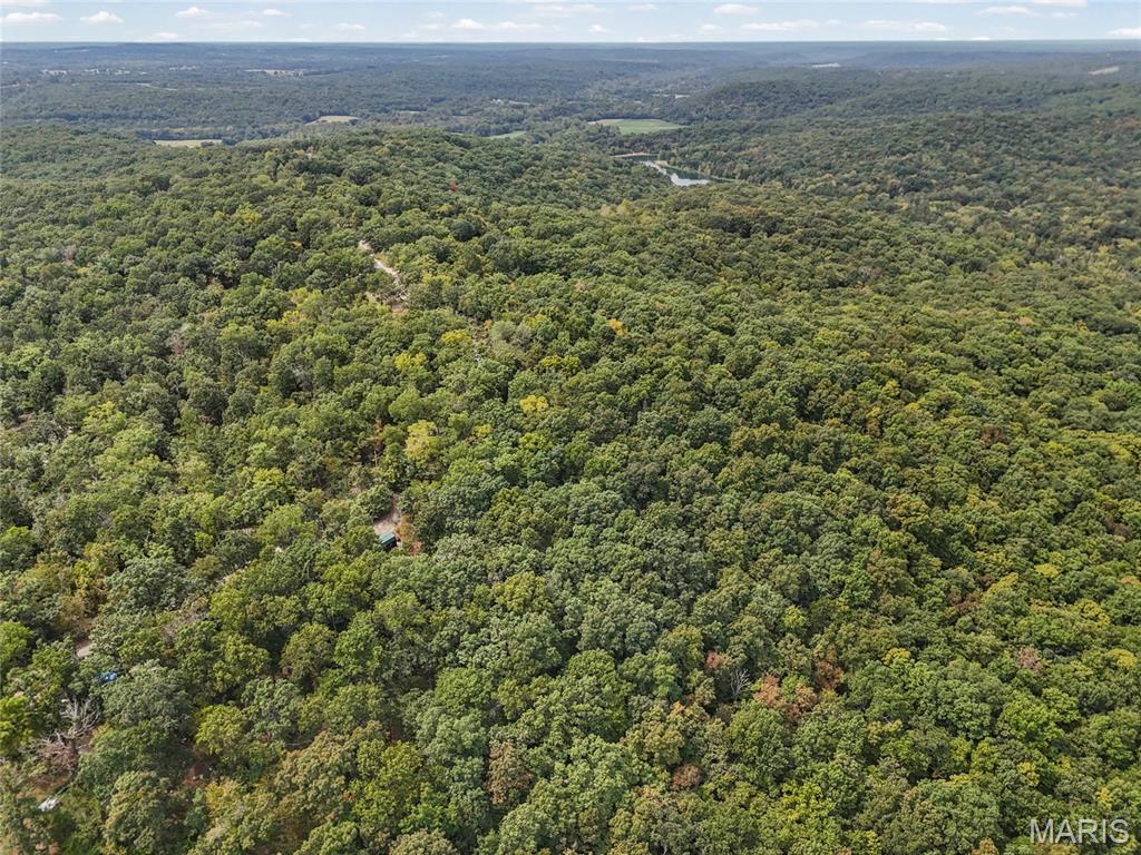 Big Woods - Residential