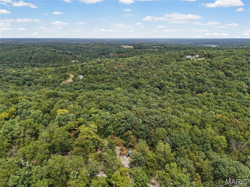 Big Woods - Residential