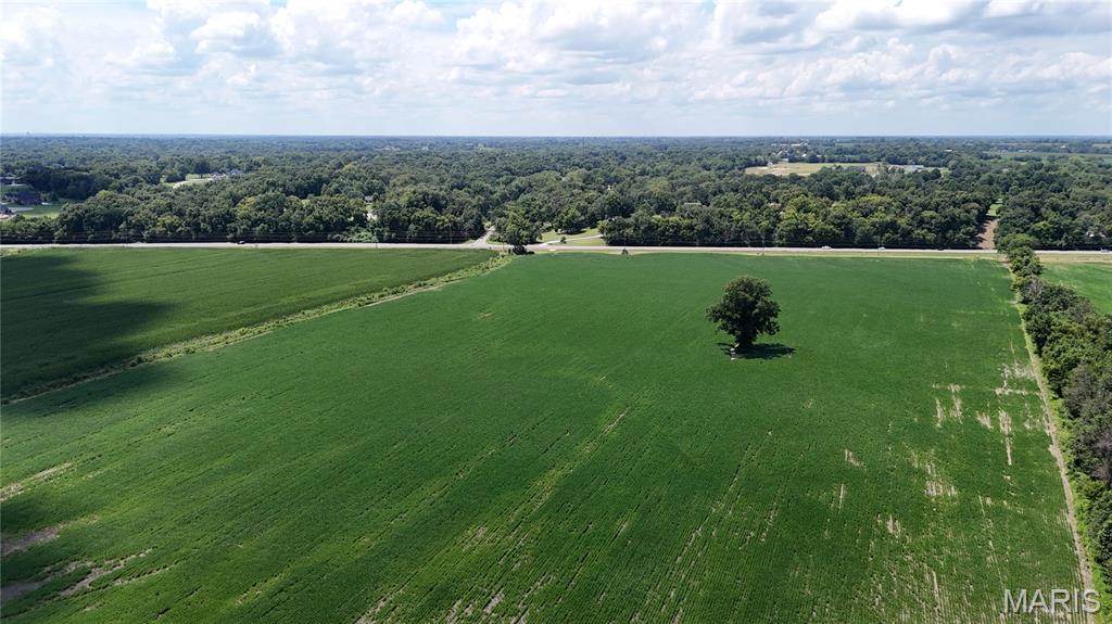 None - Farm