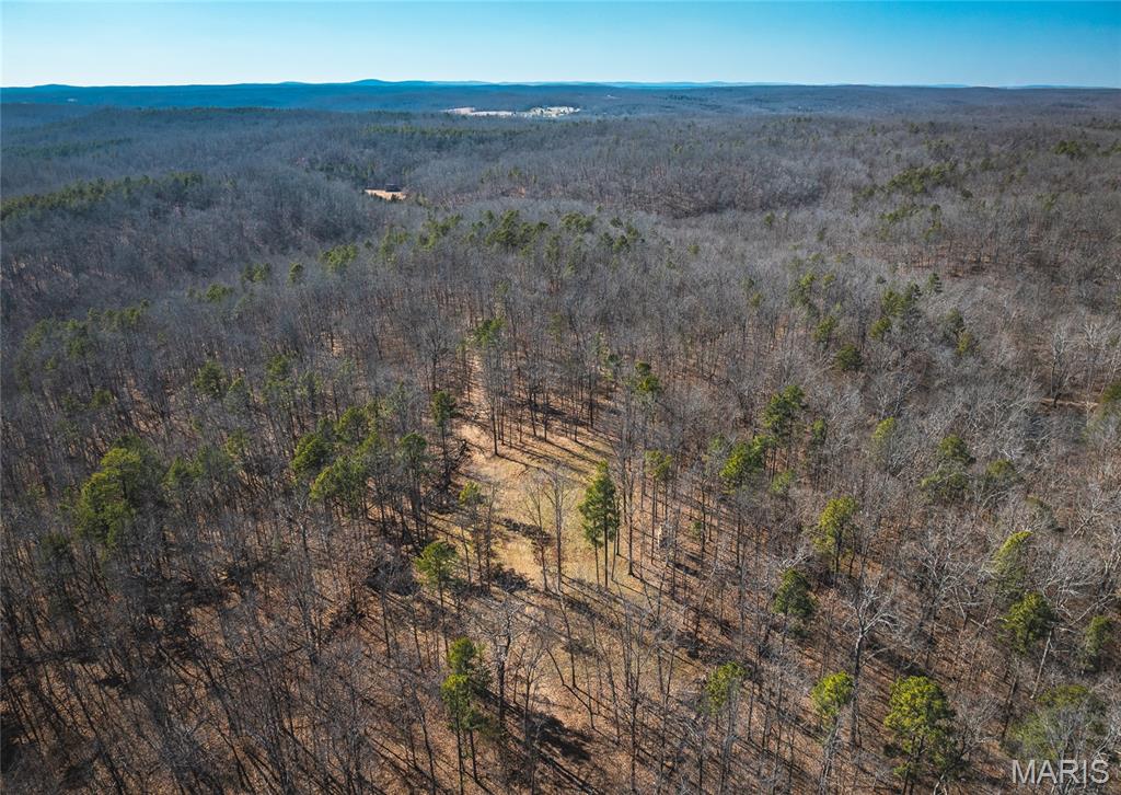 This exceptional 42 +/- acre tract offers a rare combination of accessibility, seclusion, and recreational appeal, with direct frontage along paved State Highway HH. Whether you’re looking to build your dream home or create a private getaway, this property presents outstanding building opportunities.

The land is predominantly timbered, providing ideal habitat for wildlife and excellent hunting potential. Even more appealing, the property sits directly across the highway from Missouri Conservation ground, significantly expanding your access to additional acreage for hunting and outdoor recreation.

Tucked away within the timber, a well-established ridgetop food plot is already in place, complete with a premium tower blind—making this property ready for immediate use. Two spring-fed ponds further enhance the landscape, offering both scenic beauty and a reliable water source for wildlife. The interior trail system allows for easy navigation of the land.