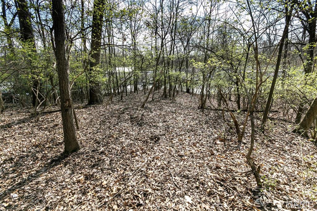 TWO LOTS FOR THE PRICE OF ONE! FABULOUS OPPORTUNITY TO OWN LAND & BUILD IN PRIME VALLEY PARK LOCATION! APRIL 2024 BOUNDARY SURVEY PROVIDED TO BUYER FOR EACH LOT! Zoned Residential Light R1, single family, no multi family. Sale includes (2) LOTS, side by side, 740 & 744 Forest Avenue Valley Park MO 63088. Each lot approximately one quarter (0.27), for total of approximately 0.54 acre.  Access to 744 Forest Ave. via lot located @ 740 Forest Ave. Light brush. Utilities adjacent to lots for tie in. FANTASTIC LOCATION with easy access to Hwy 141, I-270, I-44, major shopping, restaurants, schools.