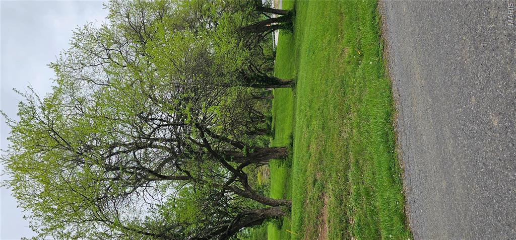 Spring Valley Estates - Land
