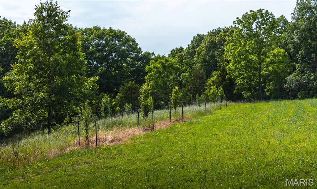 Not in a Subdivision - Farm