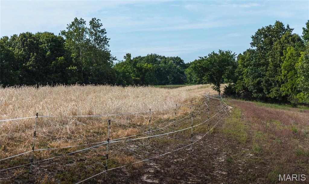 Not in a Subdivision - Farm