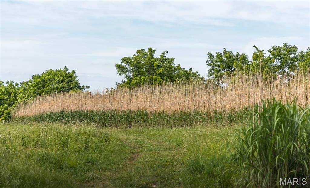 Not in a Subdivision - Farm