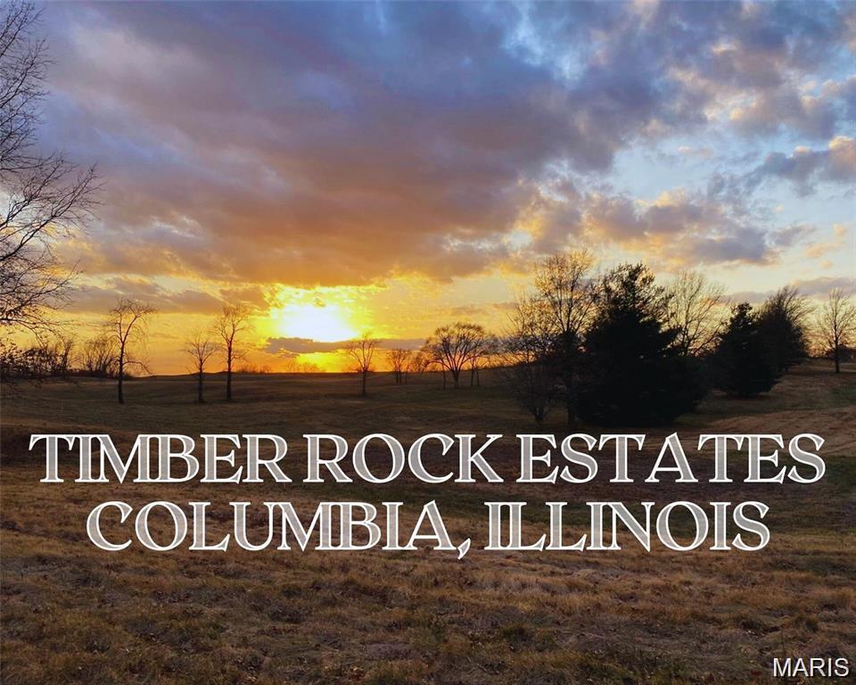 Welcome to TIMBER ROCK ESTATES. This beautiful, one-of-a-kind, 135-acre subdivision will offer 80 spectacular lots ranging in size from approximately 1/2 acre up to 5-acre estate lots. Careful planning has created a perfect setting for both DETACHED VILLAS as well as LUXURY CUSTOM HOMES on the larger estate lots. Lot amenities include; COLUMBIA fire & police, public water and public sewer. Bonus features include; concrete streets, optional architecturally designed accessory buildings on Estate Lots, walking trails over 13 acres of land tied into sidewalks & streets, a common ground lake, plus a community recreation area offering pickle ball courts, golf area & a concrete bounce back wall. Minimum building requirements for Estate lots; 2,000 sq ft, 3 sides brick or stone ext. walls, 8/12 roof pitch & a 2 car garage. Minimum building requirements for Villa Lots; 1,400 sq ft, 3 side brick or stone ext. walls, 6/12 roof pitch & a side load 2 car garage. Call now! - $500 reserves your lot Additional Rooms: In Platted Subdv.