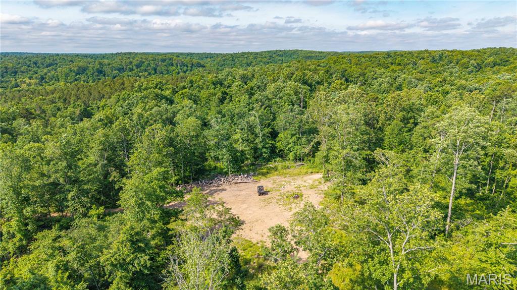 Discover an outstanding 115.08 surveyed-acre recreational tract in Wayne County, Missouri, featuring year-round live water, excellent hunting opportunities, and multiple potential building locations. A spring-fed creek flows through the property, providing a reliable water source for wildlife while adding tremendous scenic appeal to this diverse Ozark landscape.

Recently subjected to a selective timber harvest, the property offers an attractive blend of young regeneration, mature pine stands, and hardwood timber, creating exceptional habitat for deer and turkey. The rolling terrain features a mix of ridges, valleys, and open areas that provide ideal locations for food plots, hunting setups, or future improvements. An established trail system allows easy access throughout much of the property, making it simple to navigate whether you're hunting, riding ATVs, or exploring the land.

Several open areas throughout the property offer excellent opportunities for a future home, hunting cabin, or weekend getaway with beautiful views of the surrounding countryside. Electric service is available nearby, adding to the property's development potential.

Conveniently accessed a short drive off paved Highway M just south of the Madison County line and located near Marquand, Fredericktown and Poplar Bluff, this property offers the perfect combination of seclusion and accessibility. This is a great opportunity to own a large tract with live water, quality wildlife habitat, and outstanding recreational potential.