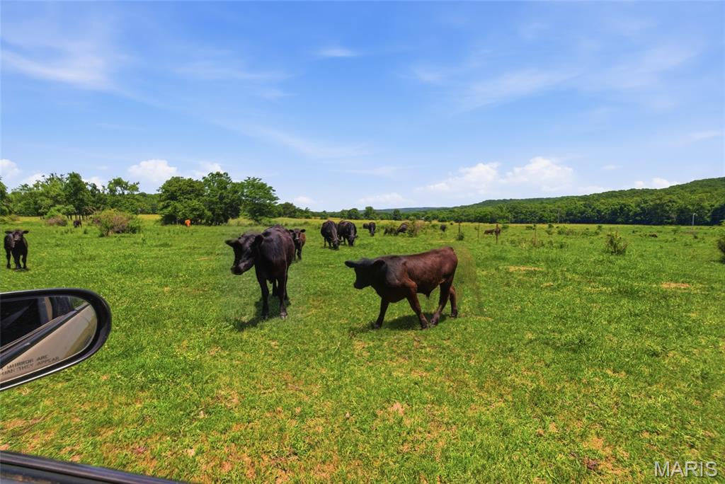 n/a - Farm