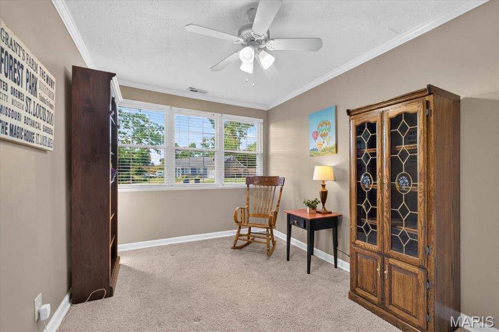 Elmont Park - Residential
