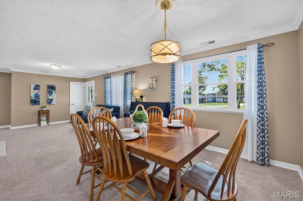 Elmont Park - Residential