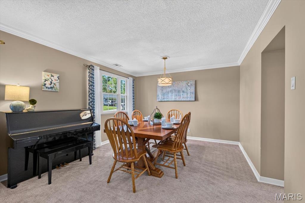 Elmont Park - Residential