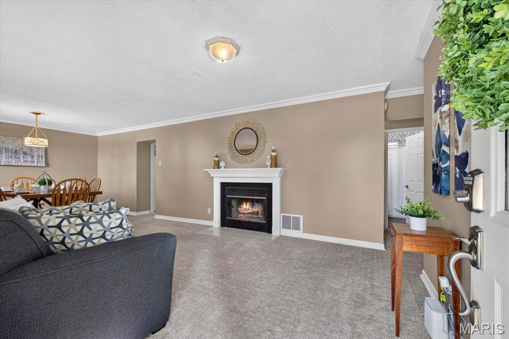 Elmont Park - Residential
