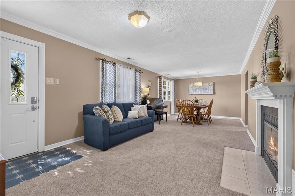 Elmont Park - Residential