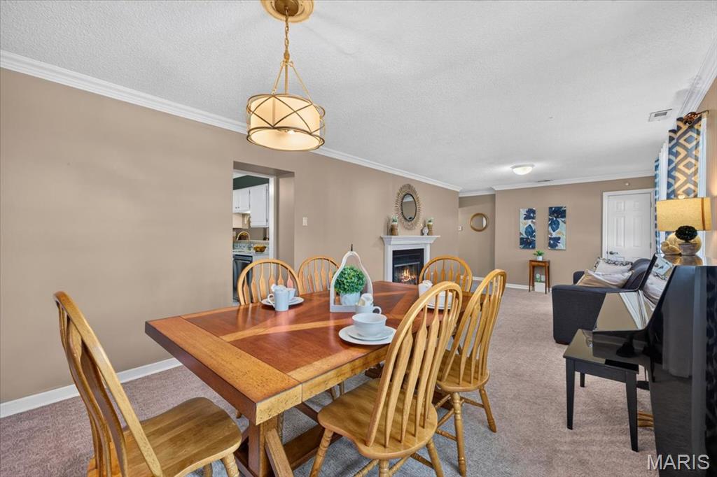 Elmont Park - Residential