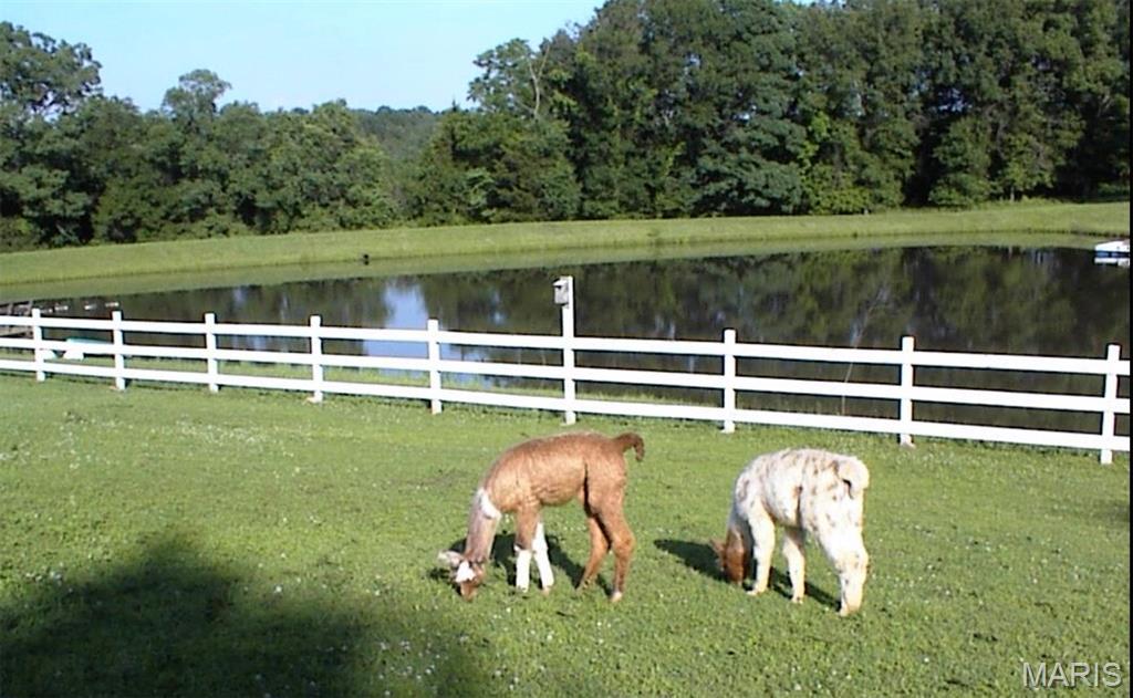 Co SE Estates Lot 1 - Farm