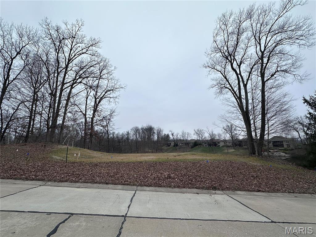 Stonebridge Woods - Land